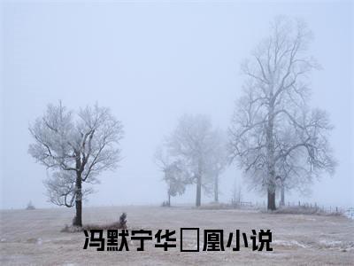 冯默宁华玥凰抖音最新热点小说，冯默宁华玥凰小说最新章节阅读