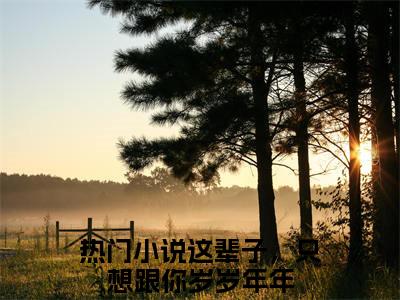 戴婉婉靳言司全文免费阅读全文免费阅读无弹窗大结局_这辈子，只想跟你岁岁年年全文免费阅读_笔趣阁