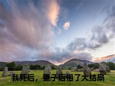 贺辰希白落冉（我死后，妻子后悔了）精彩热门小说_（贺辰希白落冉）我死后，妻子后悔了最新章节列表_笔趣阁