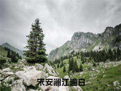 宋安澜江逾白小说全文免费阅读无弹窗-宋安澜江逾白小说在线免费阅读大结局