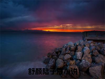 舒颜陆子辰（舒颜陆子辰）全文无弹窗阅读-舒颜陆子辰最新章节完整版阅读