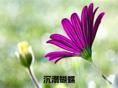 伏鸢楼聿（沉溺蝴蝶）全文免费阅读无弹窗大结局_伏鸢楼聿全文在线阅读无弹窗