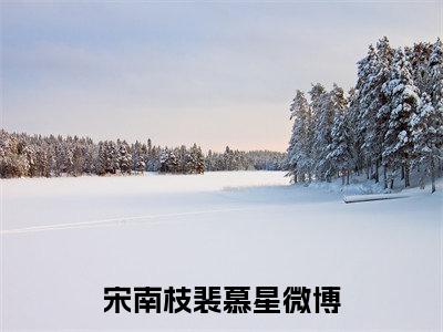 宋南枝裴慕星(宋南枝裴慕星小说)全文免费阅读无弹窗大结局-宋南枝裴慕星小说最新章节列表_笔趣阁