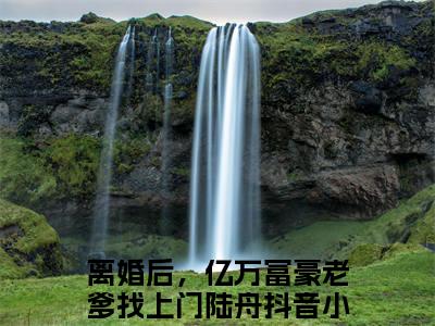 离婚后，亿万富豪老爹找上门陆舟全文免费在线阅读_（离婚后，亿万富豪老爹找上门陆舟全文免费阅读无弹窗大结局）