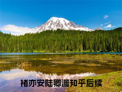 惊，我在求生游戏做关系户小说免费阅读无弹窗大结局,褚亦安陆卿渊最新章节列表