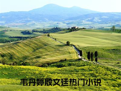 韦丹婷殷文廷笔趣阁免费小说_韦丹婷殷文廷笔趣阁全文阅读