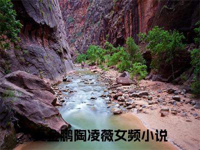 夏金鹏陶凌薇全文免费阅读无弹窗大结局_夏金鹏陶凌薇(夏金鹏陶凌薇)小说结局免费阅读（夏金鹏陶凌薇）