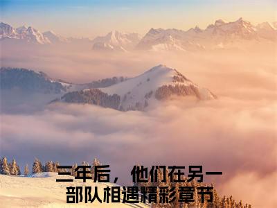 三年后，他们在另一部队相遇（窈梨战京野）全文免费阅读无弹窗大结局_(窈梨战京野)三年后，他们在另一部队相遇免费阅读无弹窗最新章节列表_笔趣阁（三年后，他们在另一部队相遇）