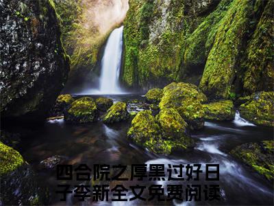 四合院之厚黑过好日子李新（四合院之厚黑过好日子李新）完结版小说-四合院之厚黑过好日子李新小说全文阅读