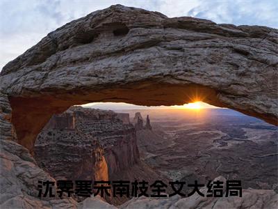沈霁寒宋南枝小说全文（沈霁寒宋南枝）全文免费阅读无弹窗大结局_沈霁寒宋南枝小说全文最新章节列表_笔趣阁(沈霁寒宋南枝小说全文）