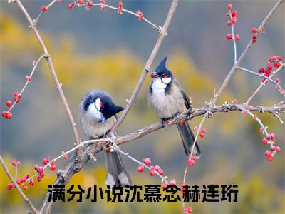 沈慕念赫连珩（沈慕念赫连珩）小说全文免费阅读无弹窗大结局_（沈慕念赫连珩）小说全文免费阅读最新章节列表笔趣阁