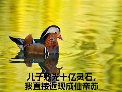 儿子败光十亿灵石，我直接返现成仙帝苏小明小说免费阅读-儿子败光十亿灵石，我直接返现成仙帝苏小明最新章节小说阅读-笔趣阁
