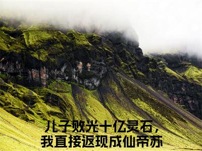 儿子败光十亿灵石，我直接返现成仙帝苏小明全文免费阅读在线阅读 儿子败光十亿灵石，我直接返现成仙帝苏小明全文免费阅读最新章节列表_笔趣阁