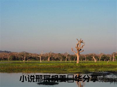 邢宸枫姜玥华(邢宸枫姜玥华)免费全文阅读小说_（邢宸枫姜玥华）邢宸枫姜玥华最新章节列表-笔趣阁（邢宸枫姜玥华）