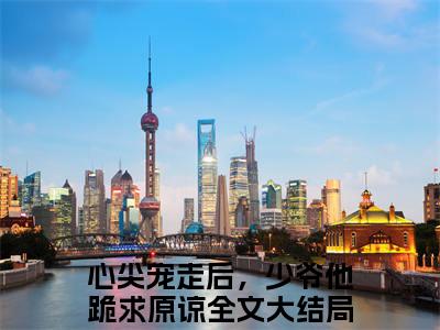 心尖宠走后，少爷他跪求原谅热门榜单小说 韩祈岑汐柚完本小说无弹窗免费阅读
