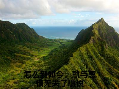 沈阙温天柔全文免费阅读无弹窗大结局_（怎么到如今，就与感情无关了）沈阙温天柔小说免费阅读完整版全文大结局