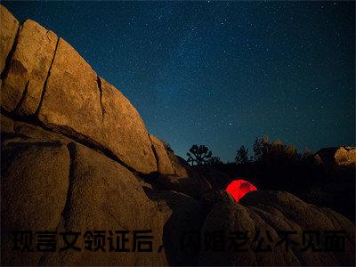 莫菲菲楚风城（领证后，闪婚老公不见面）全文免费阅读无弹窗大结局_(领证后，闪婚老公不见面)莫菲菲楚风城免费阅读无弹窗最新章节列表_笔趣阁（莫菲菲楚风城）