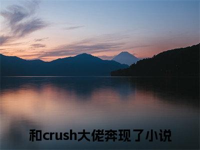 夏婉莹陈子韩全文免费在线阅读_（和crush大佬奔现了全文免费阅读无弹窗大结局）夏婉莹陈子韩最新章节列表笔趣阁