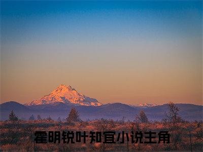 霍明锐叶知宜小说主角是（晚山醉无声）全文完整版免费阅读最新章节列表_晚山醉无声小说在线阅读
