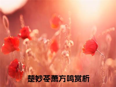 楚妙苓萧方鸣免费楚妙苓萧方鸣读无弹窗最新章节列表_笔趣阁（楚妙苓萧方鸣）
