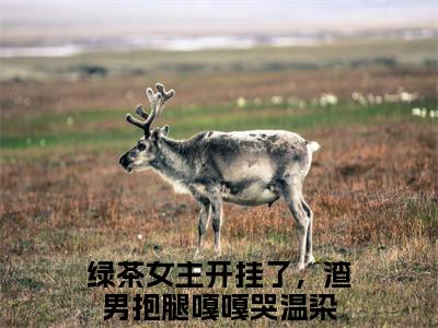 主角是绿茶女主开挂了，渣男抱腿嘎嘎哭温染的小说叫什么名字（绿茶女主开挂了，渣男抱腿嘎嘎哭温染）-完结版小说（绿茶女主开挂了，渣男抱腿嘎嘎哭温染）
