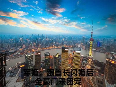军婚：跟首长闪婚后全豪门来团宠小说全文无删减-军婚：跟首长闪婚后全豪门来团宠小说大结局免费阅读