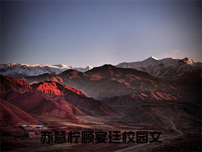 苏意柠顾宴廷(苏意柠顾宴廷)全文免费阅读无弹窗大结局_苏意柠顾宴廷免费阅读最新章节列表_笔趣阁（苏意柠顾宴廷）