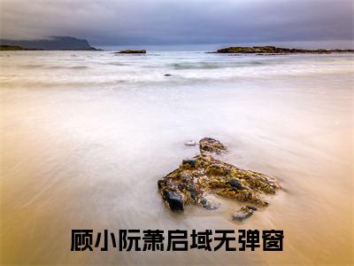 顾小阮萧启域(顾小阮萧启域)全文免费阅读无弹窗大结局_顾小阮萧启域免费阅读_笔趣阁（顾小阮萧启域）