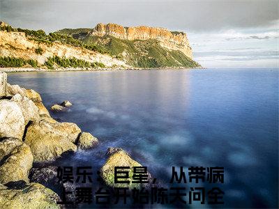 娱乐：巨星，从带病上舞台开始陈天问（娱乐：巨星，从带病上舞台开始陈天问）全文免费阅读大结局-娱乐：巨星，从带病上舞台开始陈天问最新章节列表免费阅读大结局