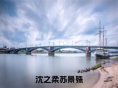 沈之柔苏景殊(沈之柔苏景殊)全文免费读无弹窗大结局_沈之柔苏景殊免费阅读全文大结局最新章节列表_笔趣阁