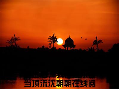 重生后，我在娱乐圈当顶流沈朝朝全文免费阅读_（重生后，我在娱乐圈当顶流沈朝朝免费阅读无弹窗）重生后，我在娱乐圈当顶流沈朝朝最新章节列表笔趣阁
