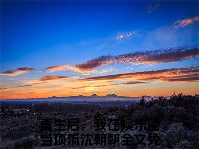 重生后，我在娱乐圈当顶流沈朝朝（重生后，我在娱乐圈当顶流沈朝朝小说）全文免费阅读无弹窗大结局_（重生后，我在娱乐圈当顶流沈朝朝阅读无弹窗）重生后，我在娱乐圈当顶流沈朝朝小说章节列表_笔趣阁