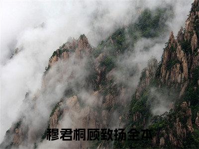穆君桐顾致扬全文免费阅读无弹窗大结局_穆君桐顾致扬最新章节列表笔趣阁