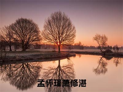 孟怀瑾萧修湛是哪部小说的主角-（孟怀瑾萧修湛）全文无弹窗完整版阅读