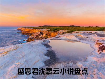（盛思君沈慕云）小说在线阅读-热文盛思君沈慕云小说全文阅读