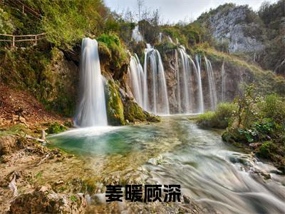 姜暖顾深(姜暖顾深)全文阅读无弹窗大结局_姜暖顾深免费阅读无弹窗最新章节列表