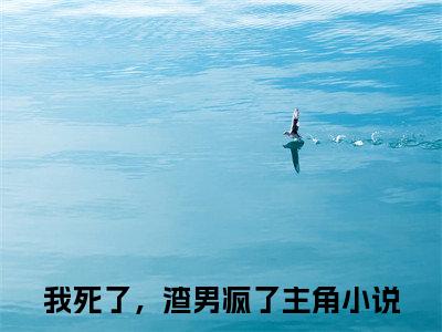经典小说程西傅铭煜无广告小说免费阅读 我死了，渣男疯了全章节免费阅读