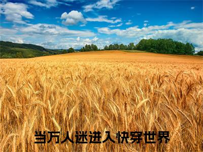 云笙最新章节（当万人迷进入快穿世界）全文免费阅读无弹窗大结局_当万人迷进入快穿世界免费阅读（云笙）