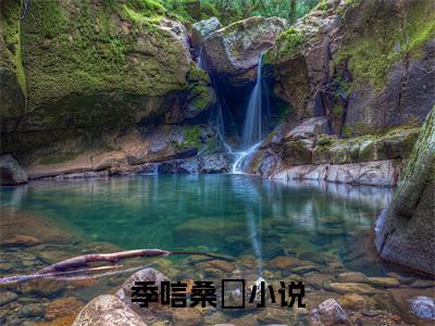 季唁桑慬全文免费阅读无弹窗大结局-季唁桑慬免费阅读最新章节列表（季唁桑慬）