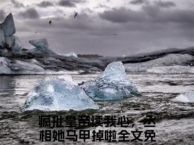 疯批皇帝读我心，丞相她马甲掉啦（徐宁卿君瑾策）全集免费阅读无弹窗_(徐宁卿君瑾策小说免费阅读)_笔趣阁
