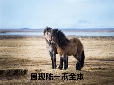 周现陈一禾是什么小说，周现陈一禾（周现陈一禾）完整章节在线阅读
