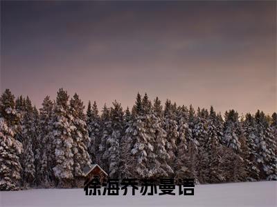 徐海乔苏曼语小说叫什么名字（徐海乔苏曼语）完整版大结局-徐海乔苏曼语小说在线阅读