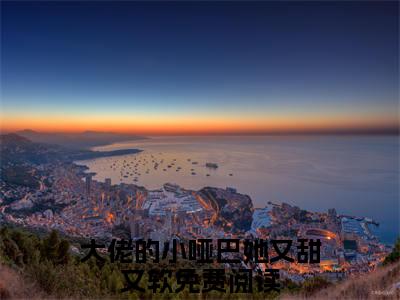 阮栀盛淮景全文免费阅读无弹窗大结局-大佬的小哑巴她又甜又软无弹窗阅读