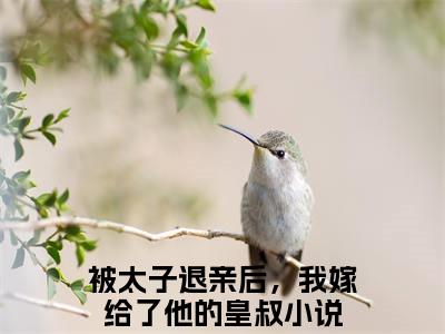 被太子退亲后，我嫁给了他的皇叔云夕颜萧北宸老书虫推荐小说免费阅读_（被太子退亲后，我嫁给了他的皇叔）完整版全文在线赏析