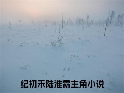 纪初禾陆淮霖无删版小说阅读-纪初禾陆淮霖全文无弹窗试读