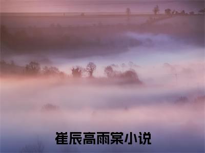 好书推荐小说崔辰高雨棠-崔辰高雨棠全文免费阅读大结局