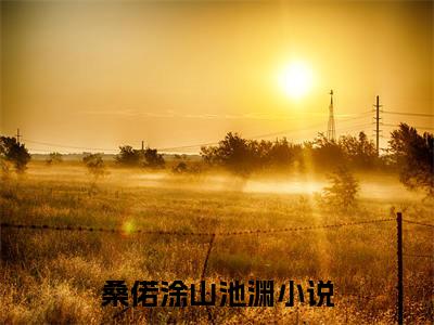 桑偌涂山池渊小说全文在线赏析-2023最火热点小说最新更新