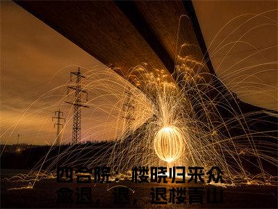 四合院：楼晓归来众禽退，退，退小说（楼青山)全文免费阅读无弹窗大结局_四合院：楼晓归来众禽退，退，退完整版最新阅读_笔趣阁（楼青山）