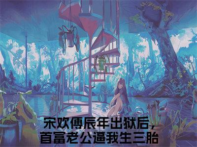 宋欢傅辰年小说免费阅读-出狱后，首富老公逼我生三胎完整版全文大结局