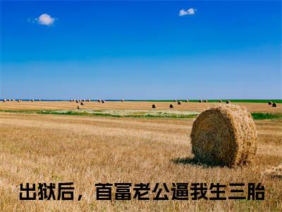 宋欢傅辰年（出狱后，首富老公逼我生三胎）全文免费阅读_宋欢傅辰年最新章节列表言情小说在线阅读